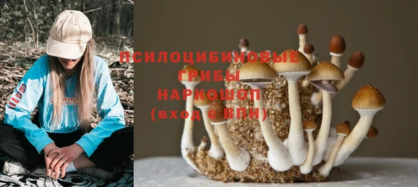 кокс Алзамай