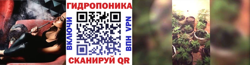 Шишки марихуана планчик Купить где Светлогорск